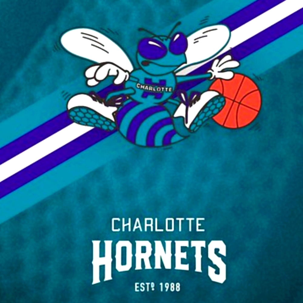Larry Johnson Charlotte Hornets Throwback Jersey - Picture 5 of 5